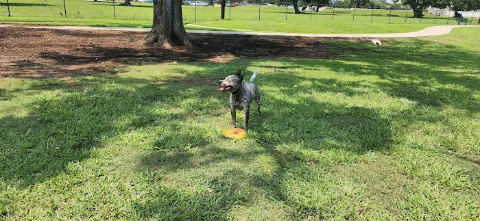 BASF Dog Park 6