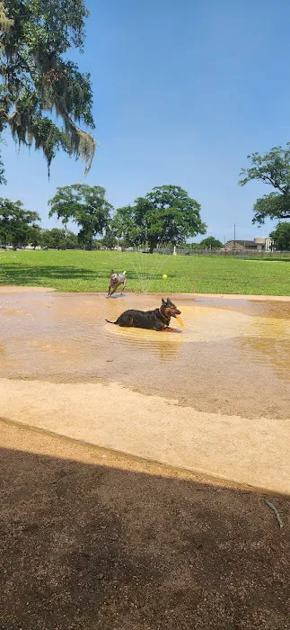 BASF Dog Park 4
