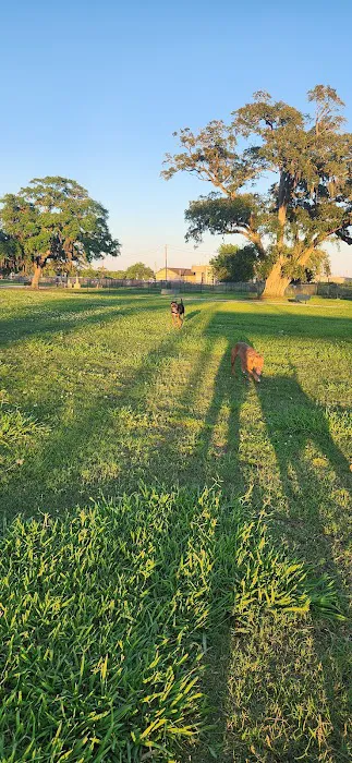 BASF Dog Park 8