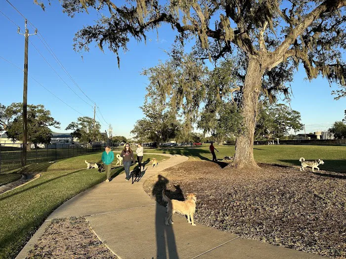 BASF Dog Park 10