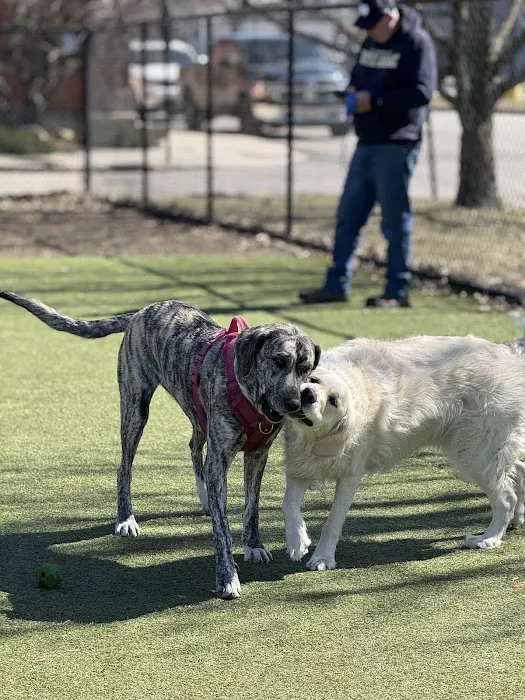 The Dog Park at Immanuel 1