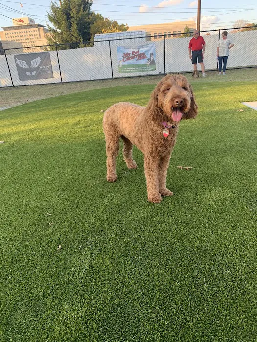 The Dog Park at Immanuel 3
