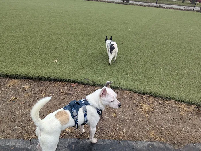 The Dog Park at Immanuel 9