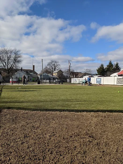 The Dog Park at Immanuel 2