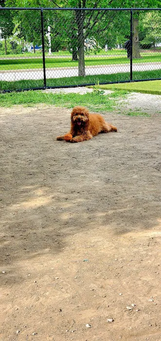 The Dog Park at Immanuel 6