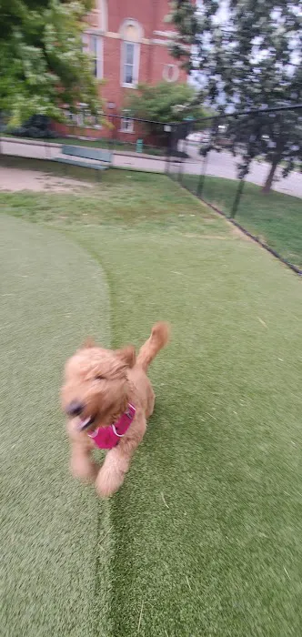 The Dog Park at Immanuel 7