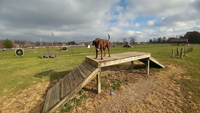 Dog Park 4