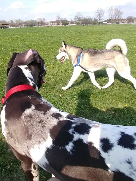 Dog Park 1