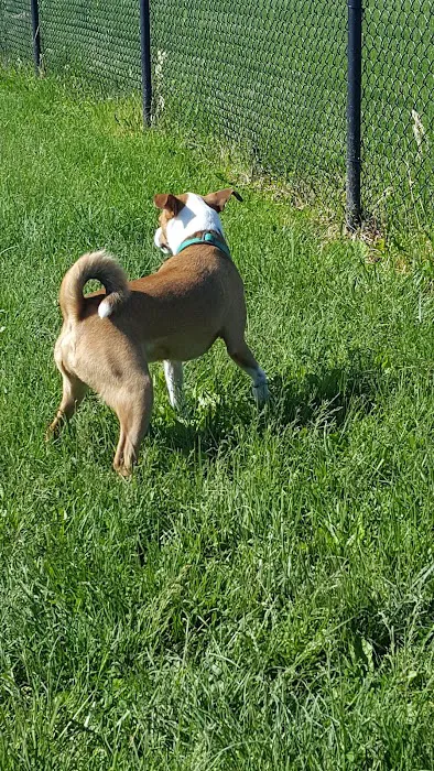 Dog Park 9