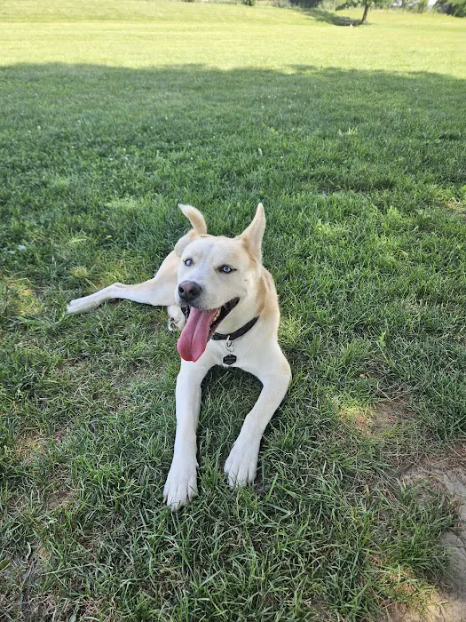 Smock Bark Park 3
