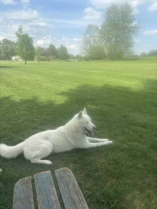 Smock Bark Park 4