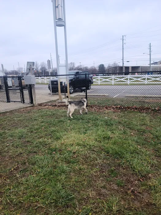Smock Bark Park 9