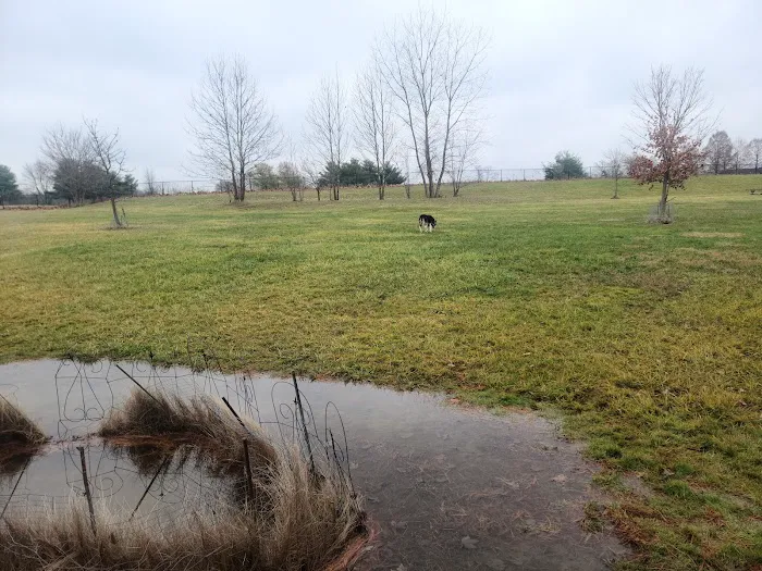 Smock Bark Park 6