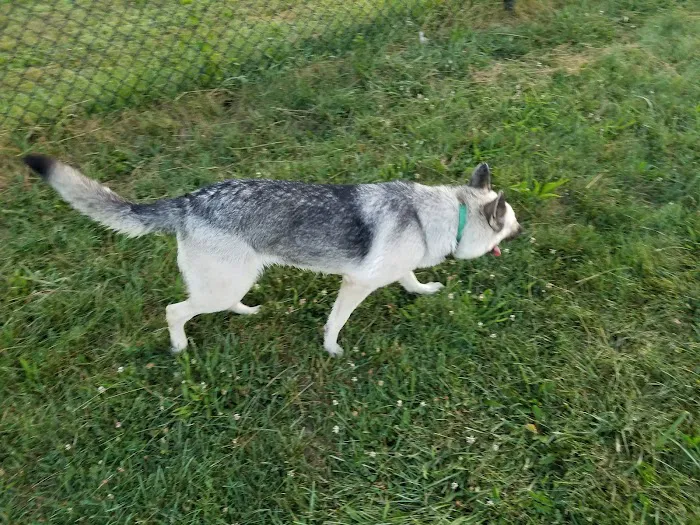 Smock Bark Park 7