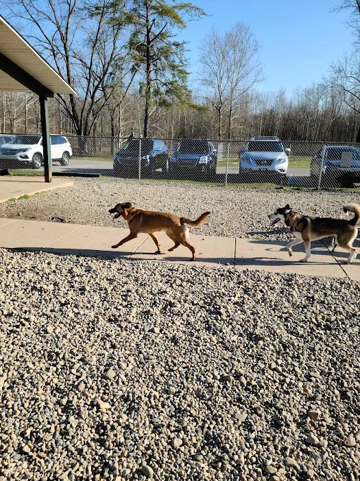 Fort Harrison State Park Dog Park 9