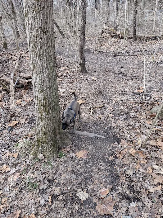 Fort Harrison State Park Dog Park 10