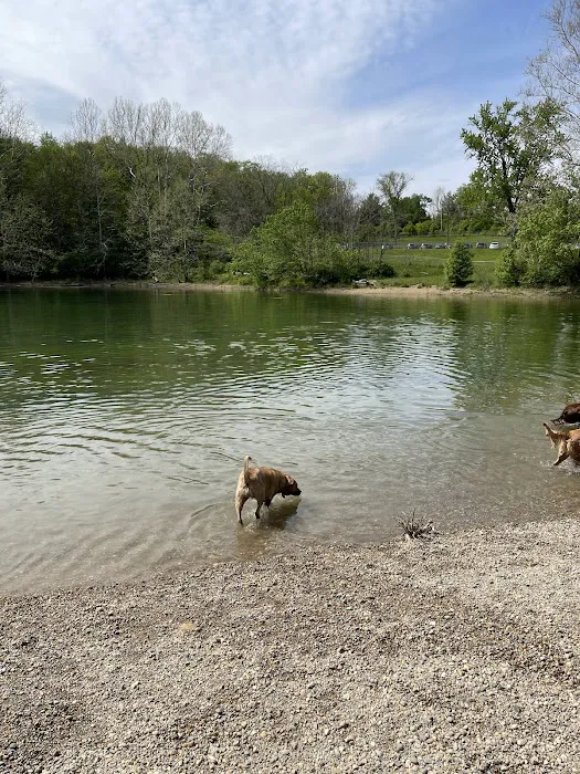 Fort Harrison State Park Dog Park 4