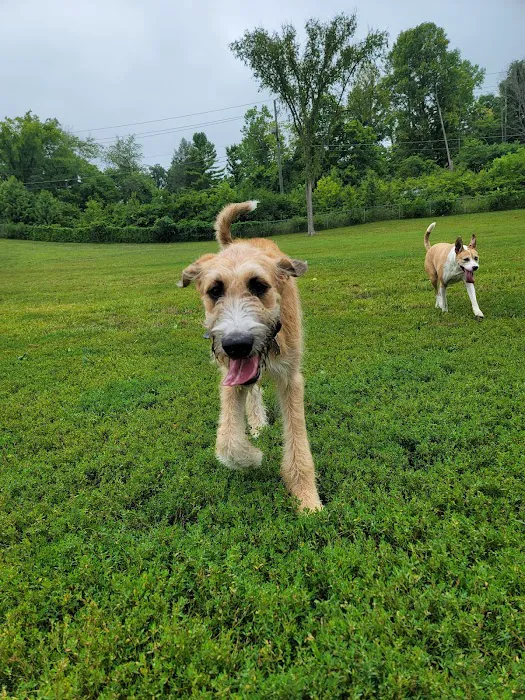 Fort Harrison State Park Dog Park 5