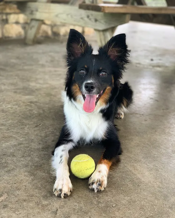Fort Harrison State Park Dog Park 8