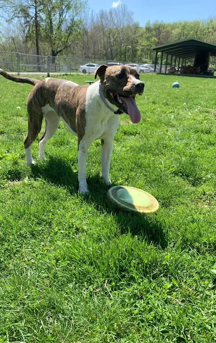 Fort Harrison State Park Dog Park 1