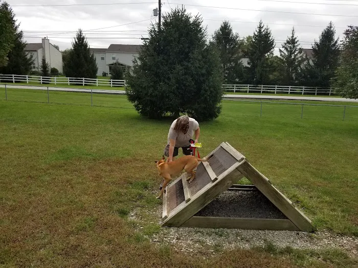 Waggin' Tails Bark Park 6