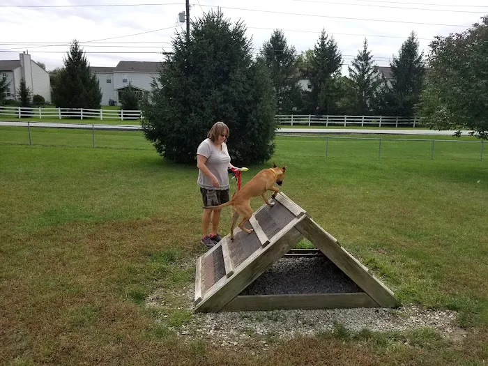 Waggin' Tails Bark Park 9