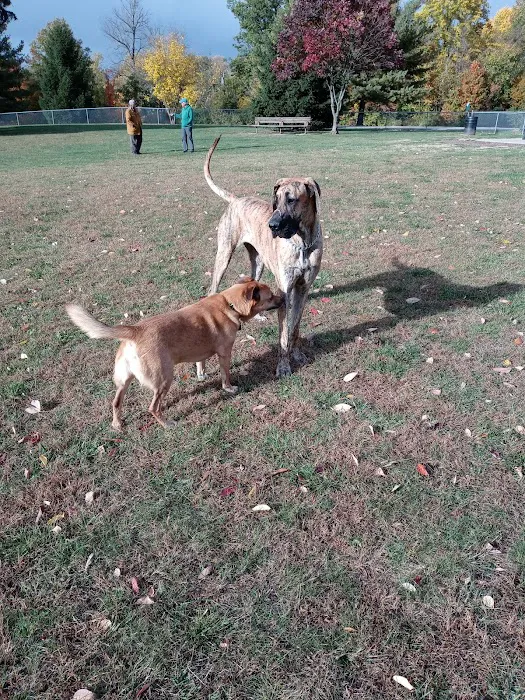 Waggin' Tails Bark Park 7
