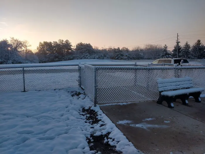 Waggin' Tails Bark Park 4