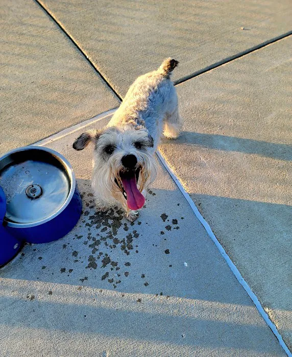 Cardinal Bark Park 1