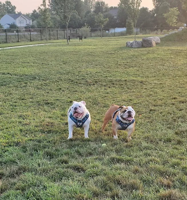 Cardinal Bark Park 7