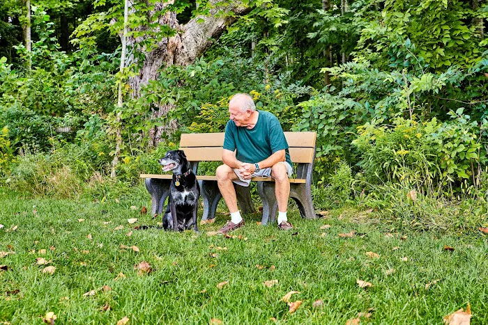 Central Dog Park 6