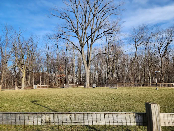Central Dog Park 2