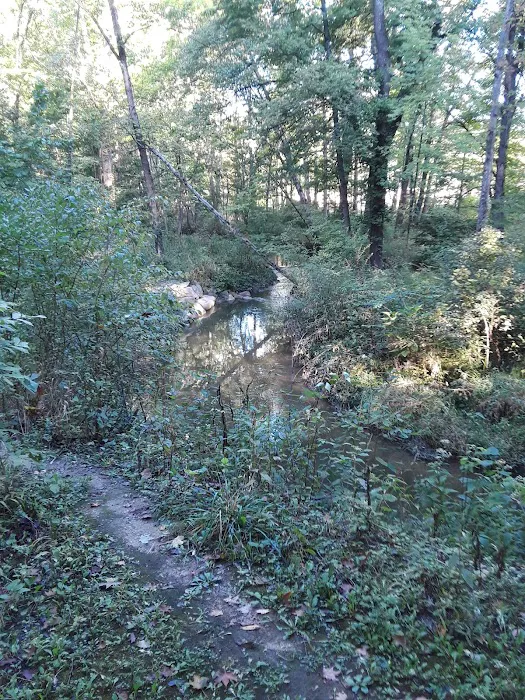 Central Dog Park 5
