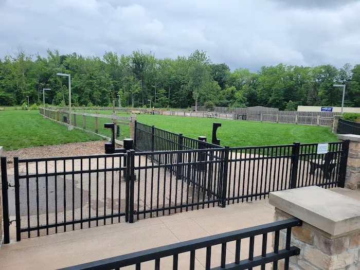 Central Dog Park 3
