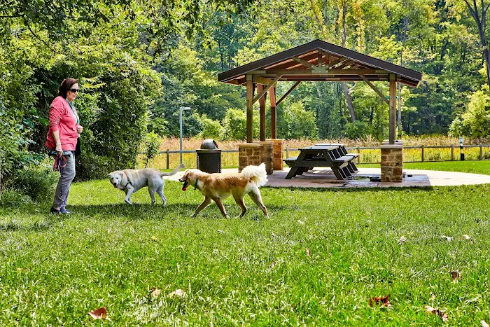 Central Dog Park 9