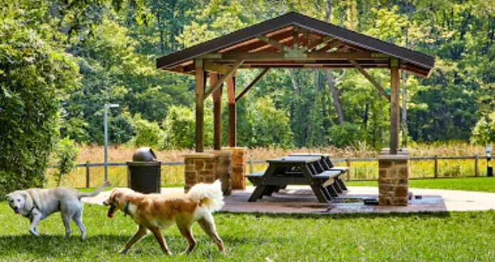Central Dog Park 7