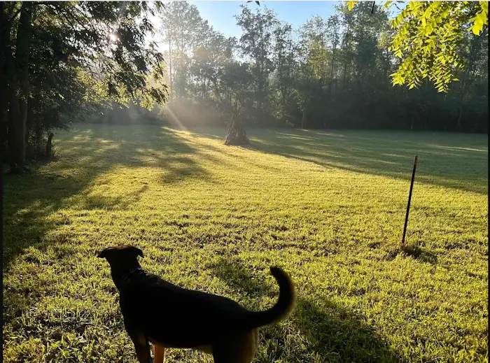 Bonny's 10 Acre Partially Fenced Private Dog Park In Brownsburg 1