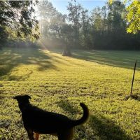 Bonny's 10 Acre Partially Fenced Private Dog Park In Brownsburg ico