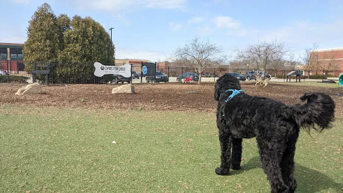 Dog Park at Clay Terrace 4