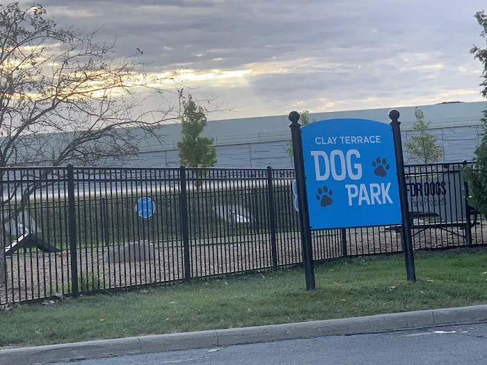 Dog Park at Clay Terrace 9