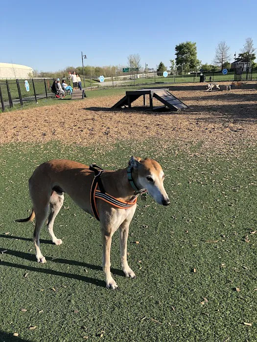 Dog Park at Clay Terrace 5