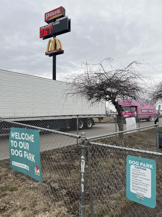 Dog Park at Love's Travel Stops 3