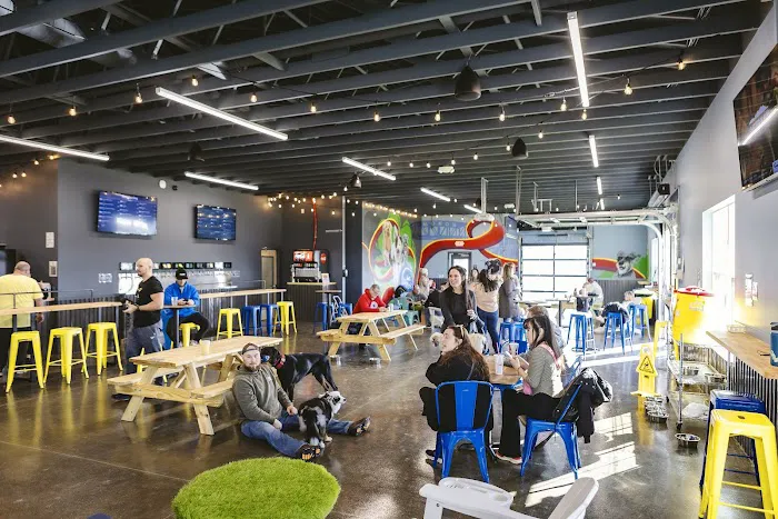 Crate Escapes Dog Park + Bar 5