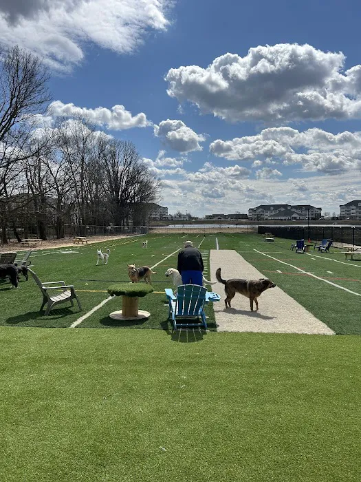 Crate Escapes Dog Park + Bar 7