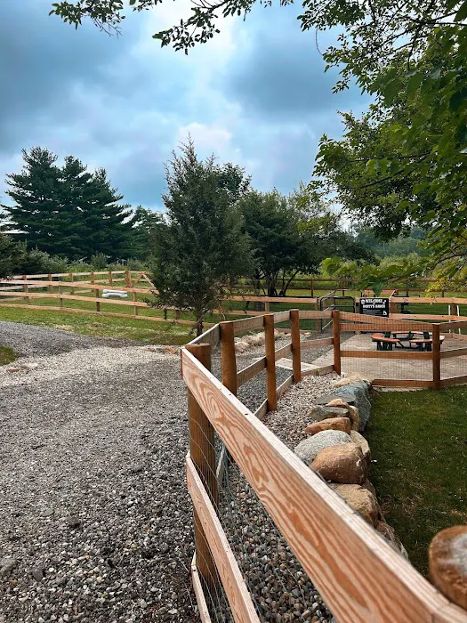 Rusty's Ranch Dog Park 3