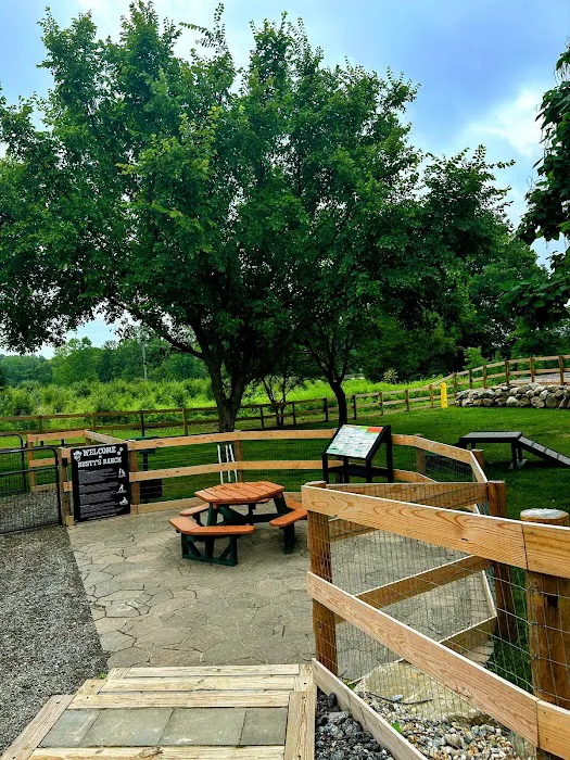 Rusty's Ranch Dog Park 4