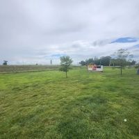 Dog Park at Love's Travel Stops ico