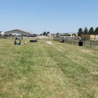 Cicero Township Dog Park ico