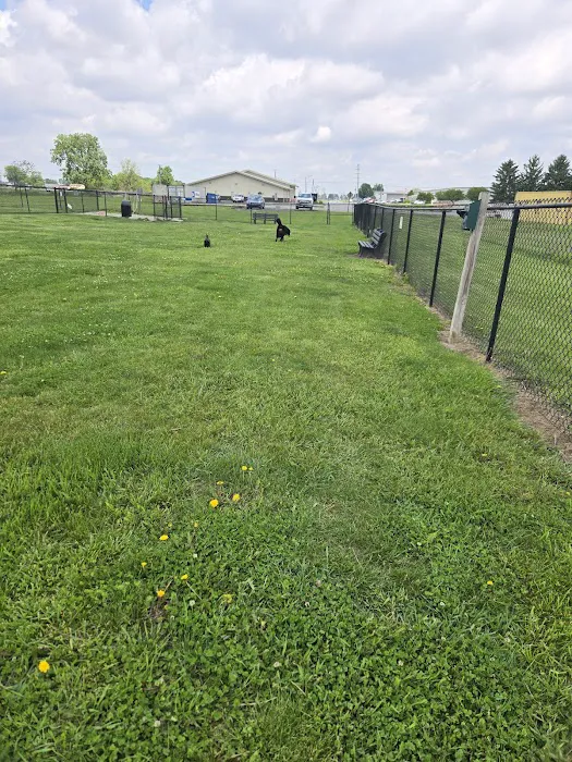 Cicero Township Dog Park 7
