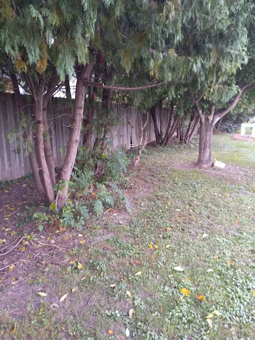 Canine Corral 5